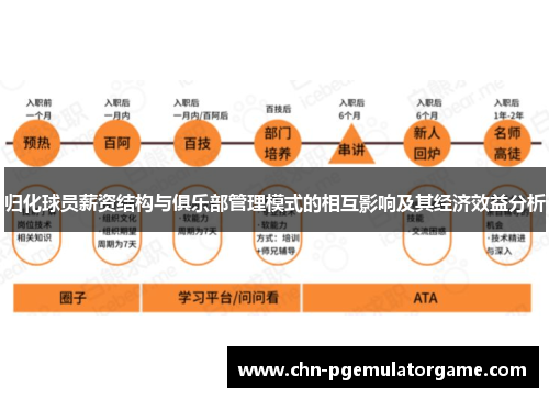 归化球员薪资结构与俱乐部管理模式的相互影响及其经济效益分析 归化球员薪资结构与俱乐部管理模式的相互影响及其经济效益分析