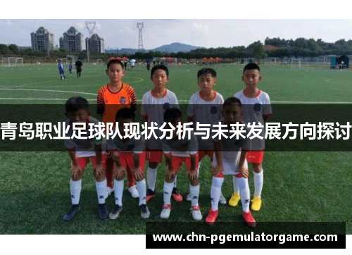 青岛职业足球队现状分析与未来发展方向探讨